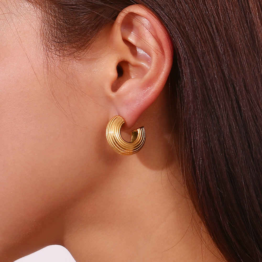 Klassy Stripped Hoops Earring